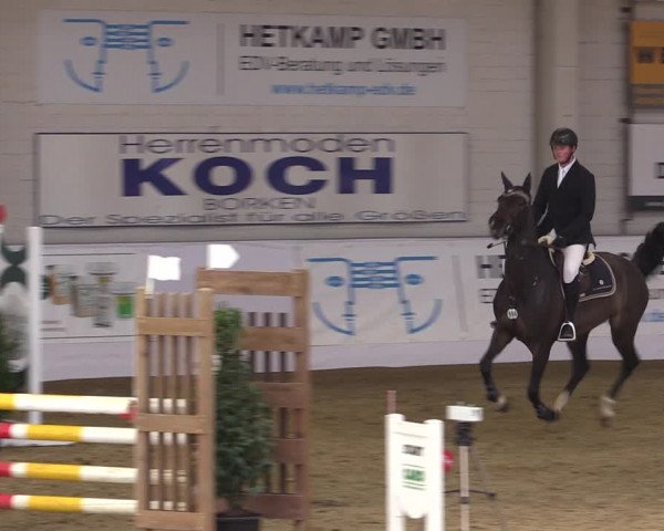 Reitturnier Borken 2019