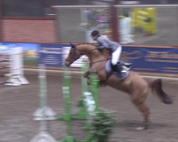 Reitturnier Hamburg-Friedrichshulde/Sylva Kuhrt 2019