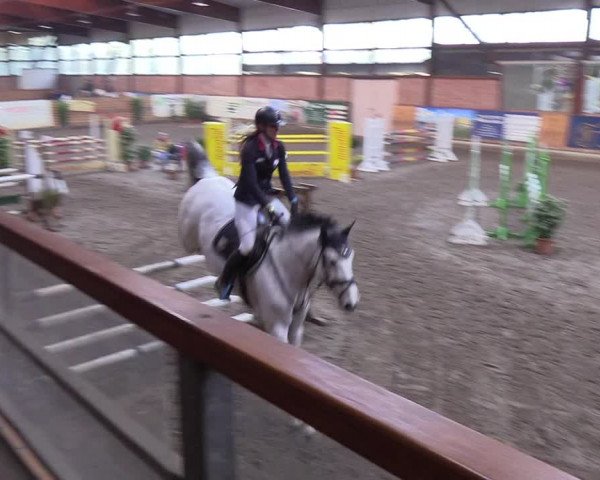 Reitturnier Hamburg-Friedrichshulde/Sylva Kuhrt 2019