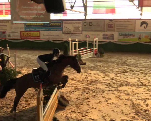 Reitturnier Keppeln - Reitanlage "Hötzenhof" 2019