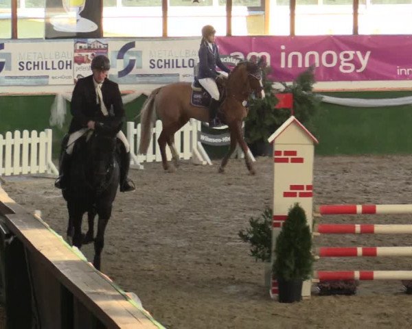 Reitturnier Keppeln - Reitanlage "Hötzenhof" 2019