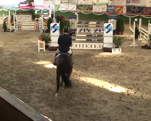 Reitturnier Keppeln - Reitanlage "Hötzenhof" 2019