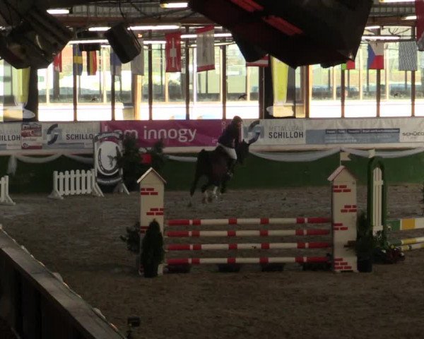 Reitturnier Keppeln - Reitanlage "Hötzenhof" 2019