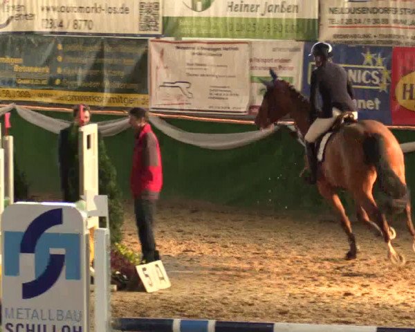 Reitturnier Keppeln - Reitanlage "Hötzenhof" 2019