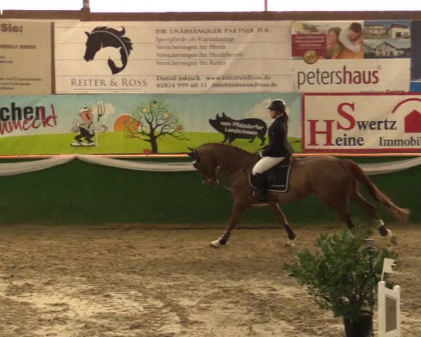 Reitturnier Keppeln - Reitanlage "Hötzenhof" 2019