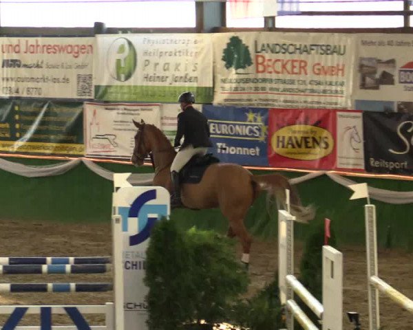 Reitturnier Keppeln - Reitanlage "Hötzenhof" 2019