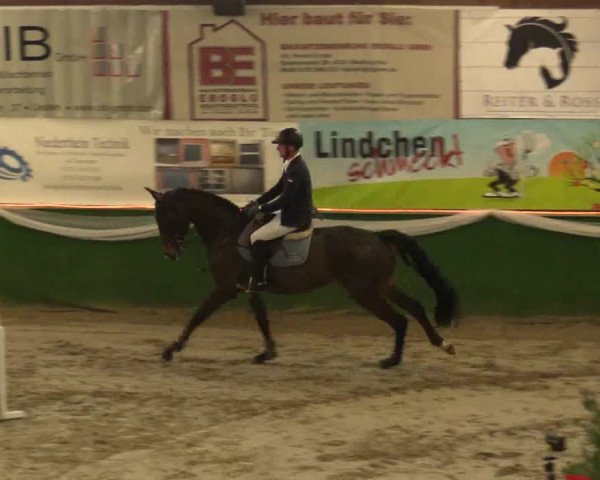 Reitturnier Keppeln - Reitanlage "Hötzenhof" 2019