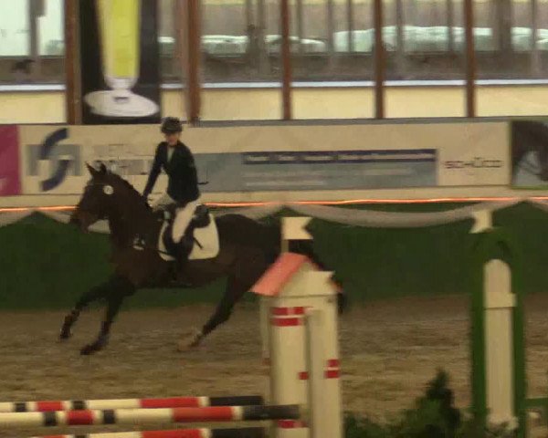 Reitturnier Keppeln - Reitanlage "Hötzenhof" 2019