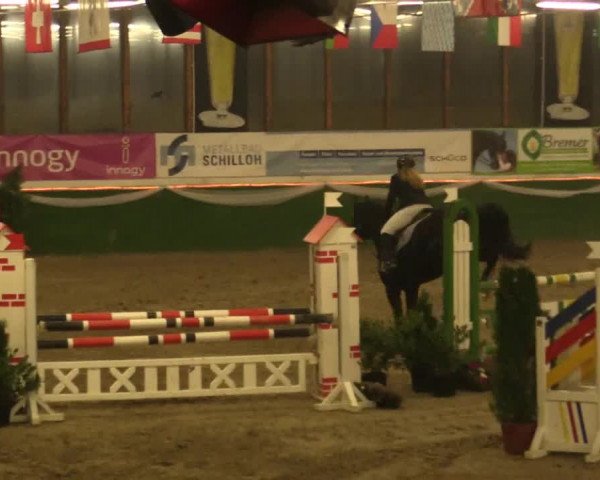 Reitturnier Keppeln - Reitanlage "Hötzenhof" 2019