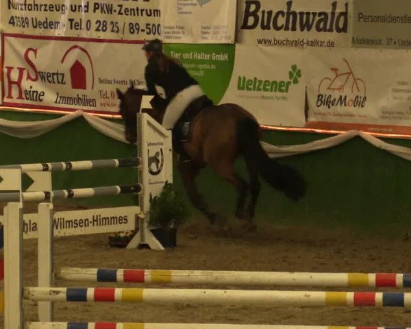 Reitturnier Keppeln - Reitanlage "Hötzenhof" 2019