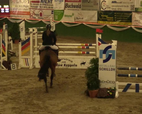 Reitturnier Keppeln - Reitanlage "Hötzenhof" 2019