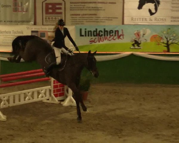 Reitturnier Keppeln - Reitanlage "Hötzenhof" 2019