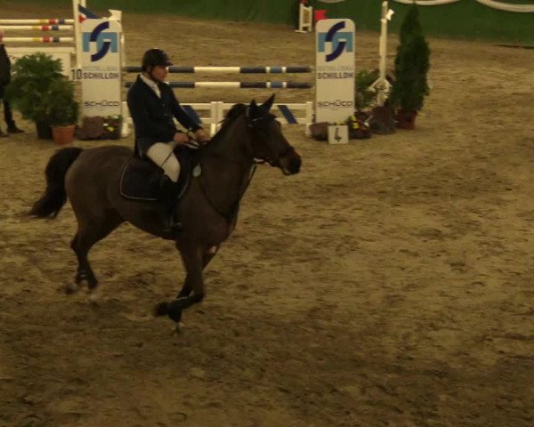 Reitturnier Keppeln - Reitanlage "Hötzenhof" 2019