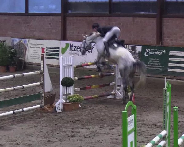 Reitturnier Hamburg-Friedrichshulde/Sylva Kuhrt 2019
