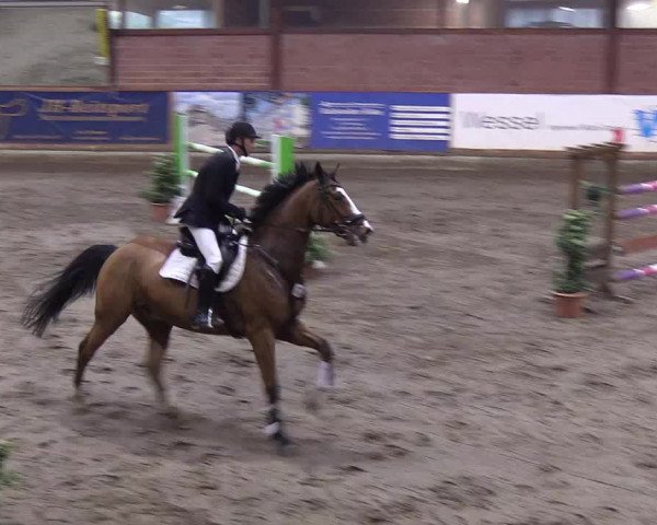 Reitturnier Hamburg-Friedrichshulde/Sylva Kuhrt 2019