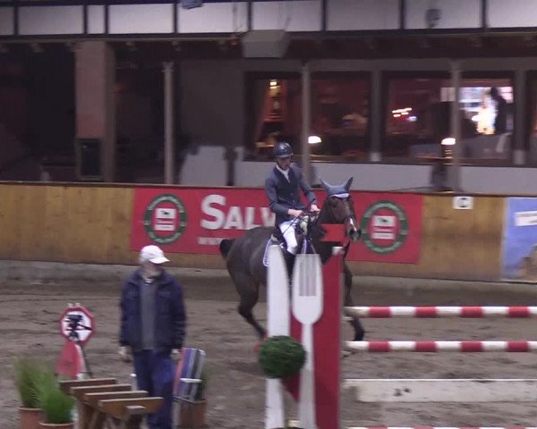 Reitturnier Hamburg-Friedrichshulde/Sylva Kuhrt 2019