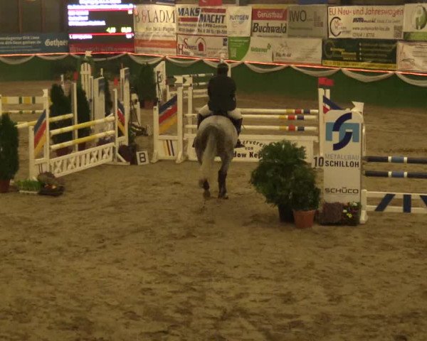 Reitturnier Keppeln - Reitanlage "Hötzenhof" 2019