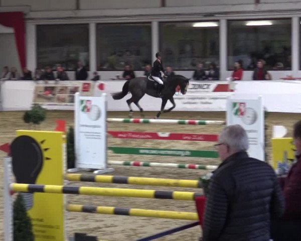 Reitturnier Borken 2019