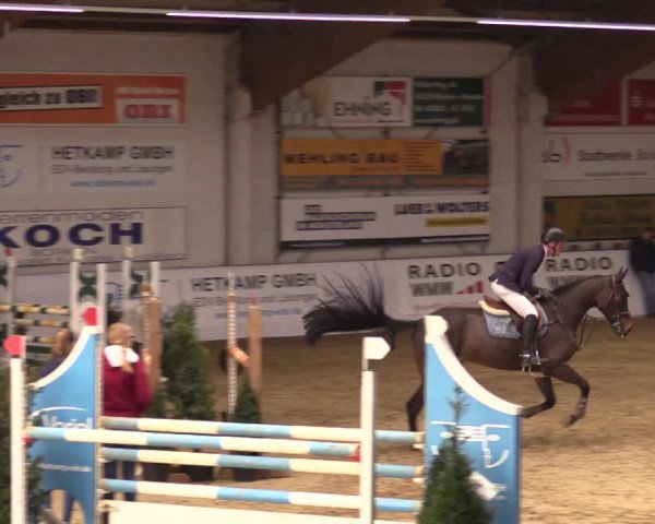 Reitturnier Borken 2019