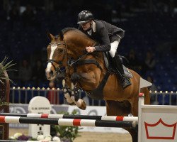 stallion Heartbeat (KWPN (Royal Dutch Sporthorse), 2001, from Heartbreaker)