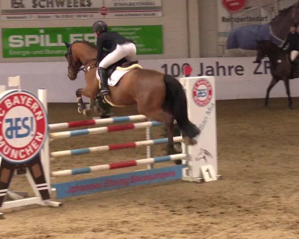 Reitturnier Borken 2019