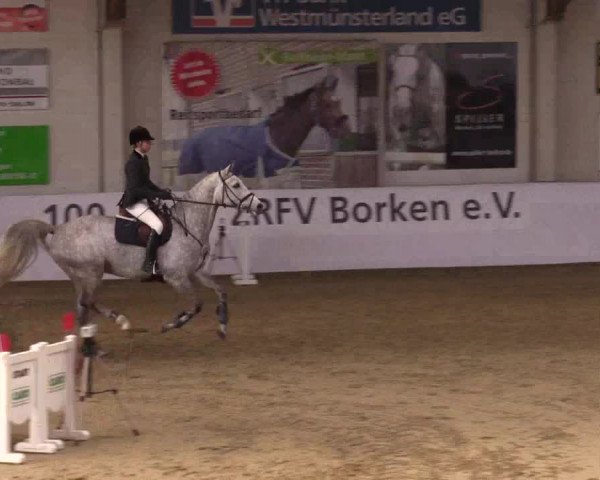 Reitturnier Borken 2019