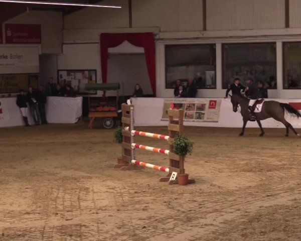 Reitturnier Borken 2019
