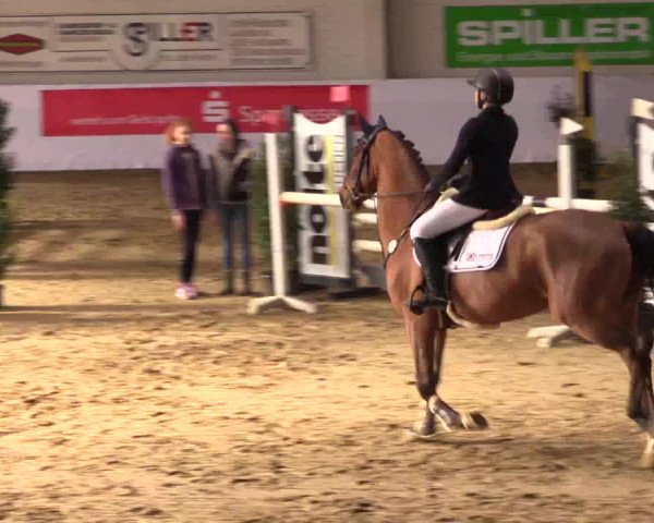 Reitturnier Borken 2019