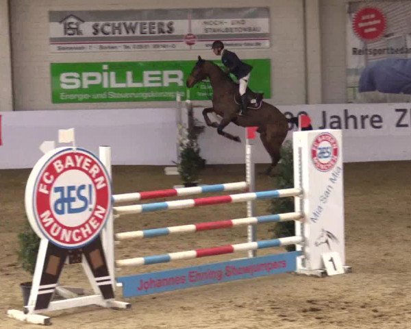 Reitturnier Borken 2019