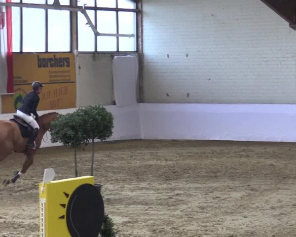 Reitturnier Borken 2019