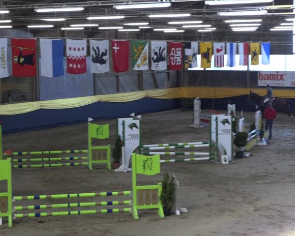 Reitturnier Erlen 2019