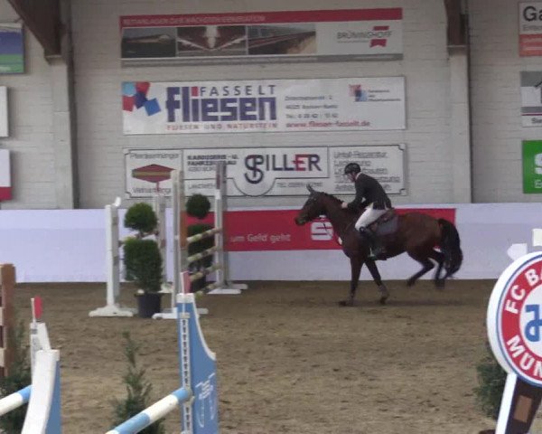 Reitturnier Borken 2019