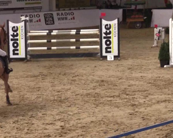 Reitturnier Borken 2019