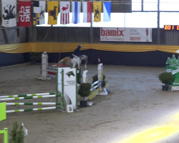 Reitturnier Erlen 2019