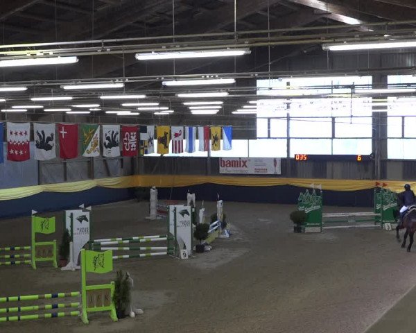 Reitturnier Erlen 2019