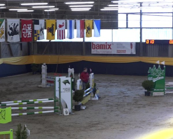 Reitturnier Erlen 2019
