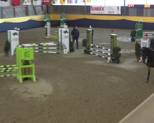 Reitturnier Erlen 2019