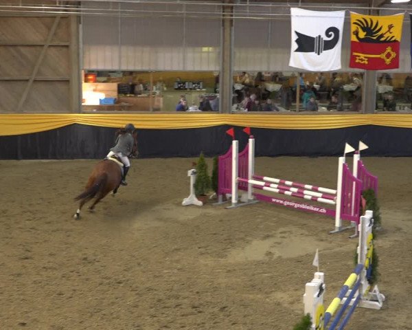 Reitturnier Erlen 2019