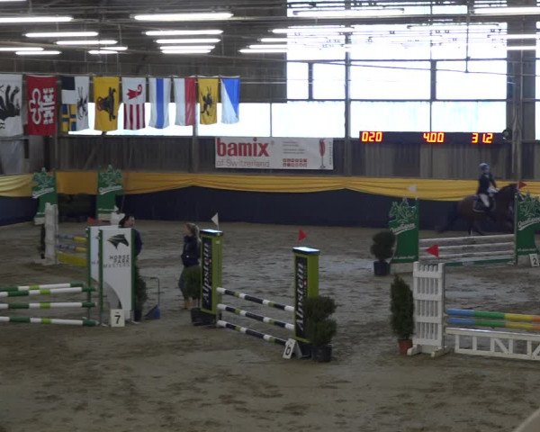 Reitturnier Erlen 2019
