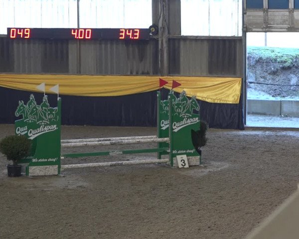Reitturnier Erlen 2019