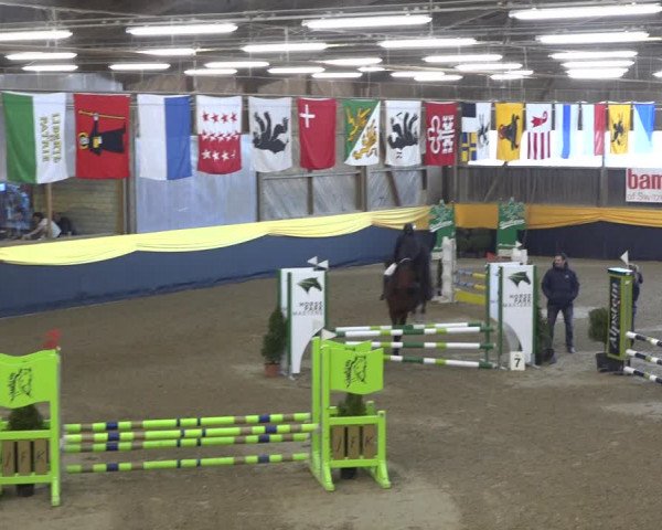 Reitturnier Erlen 2019