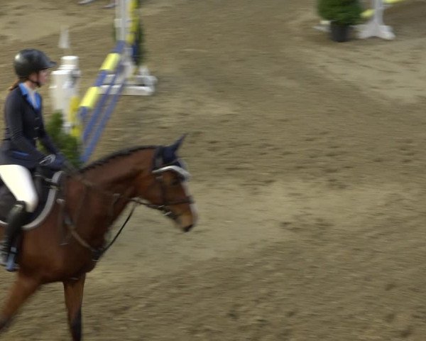 Reitturnier Erlen 2019