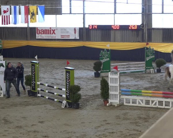 Reitturnier Erlen 2019