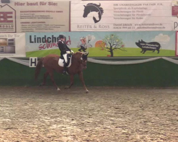 Reitturnier Keppeln - Reitanlage "Hötzenhof" 2019