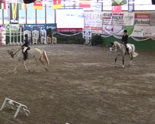 Reitturnier Keppeln - Reitanlage "Hötzenhof" 2019