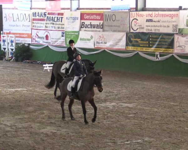 Reitturnier Keppeln - Reitanlage "Hötzenhof" 2019