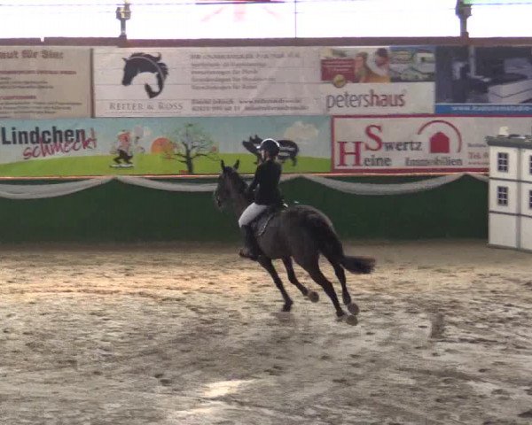 Reitturnier Keppeln - Reitanlage "Hötzenhof" 2019