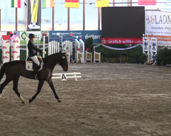 Reitturnier Keppeln - Reitanlage "Hötzenhof" 2019