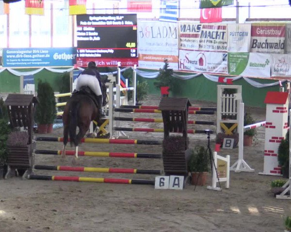 Reitturnier Keppeln - Reitanlage "Hötzenhof" 2019