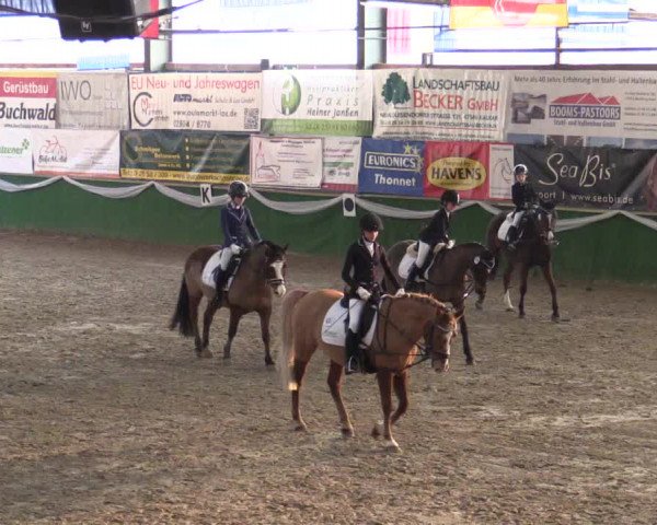 Reitturnier Keppeln - Reitanlage "Hötzenhof" 2019
